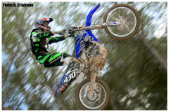 Best of 2008