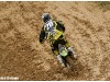 aranda2