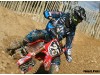 musquin