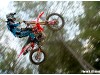 musquin2